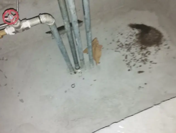 兰州卫生间测漏水价格明细