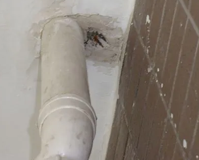 兰州漏水检测哪家好